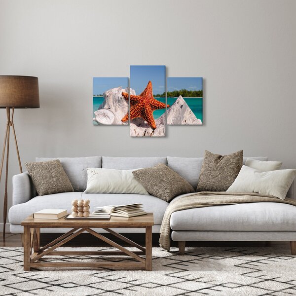 Slika morske zvijezde (90x60 cm)