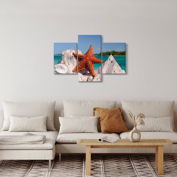 Slika morske zvijezde (90x60 cm)