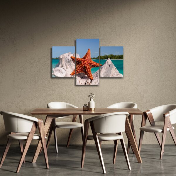 Slika morske zvijezde (90x60 cm)