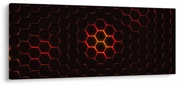 Slika mreže (120x50 cm)
