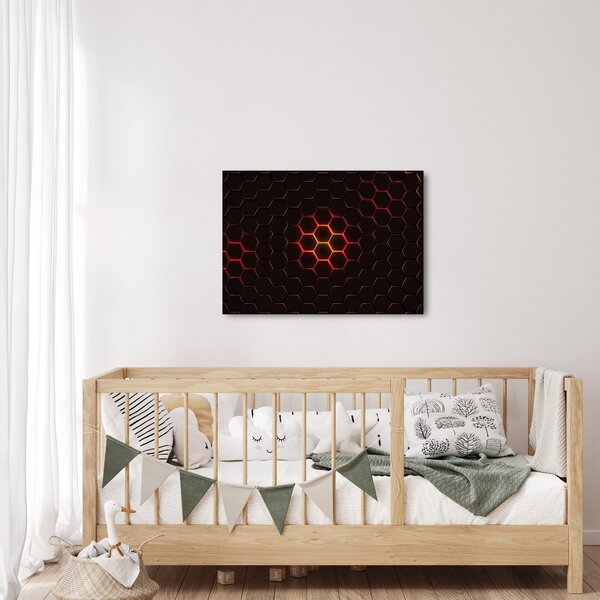 Slika mreže (70x50 cm)