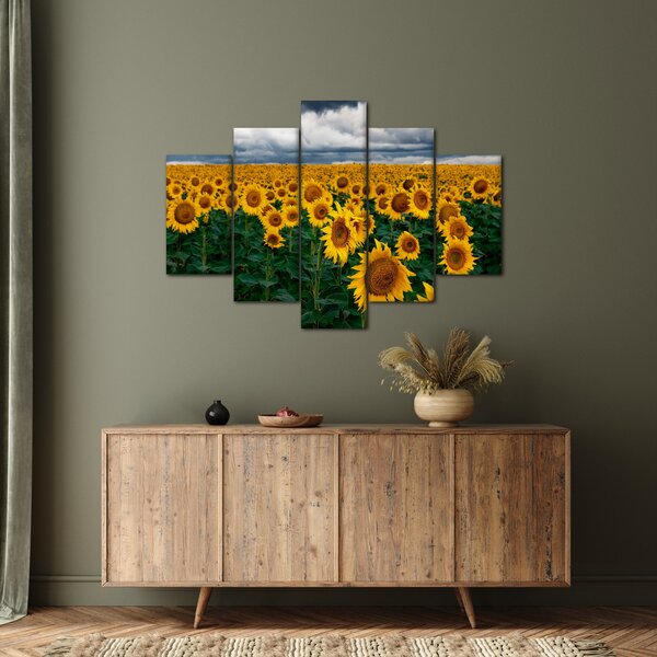 Slika polja suncokreta (150x105 cm)