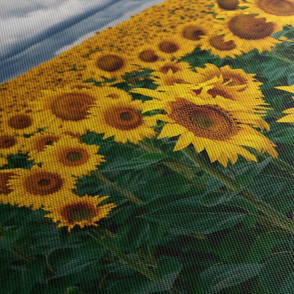 Slika polja suncokreta (90x60 cm)