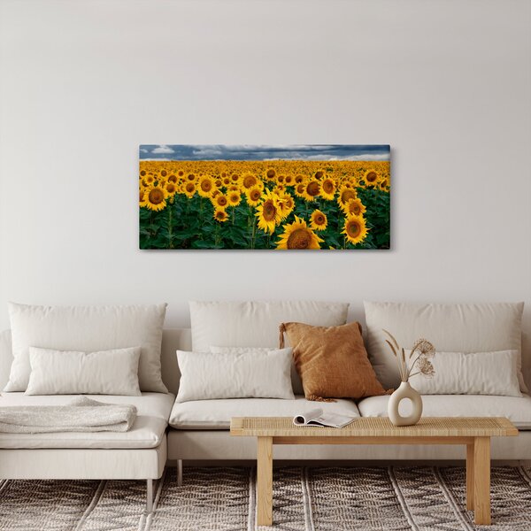 Slika polja suncokreta (120x50 cm)