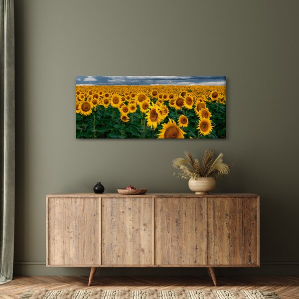 Slika polja suncokreta (120x50 cm)