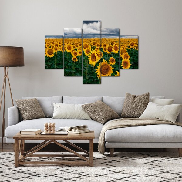 Slika polja suncokreta (150x105 cm)