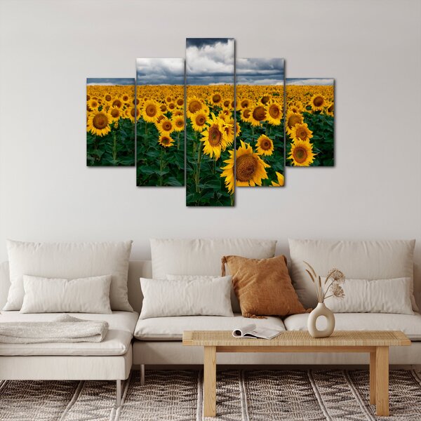 Slika polja suncokreta (150x105 cm)