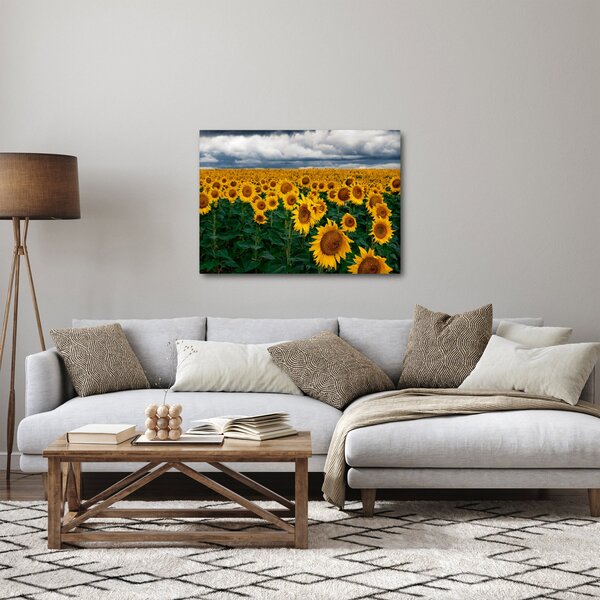Slika polja suncokreta (70x50 cm)