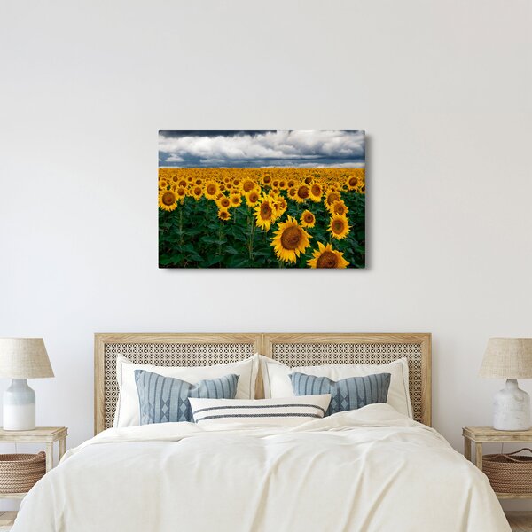 Slika polja suncokreta (90x60 cm)