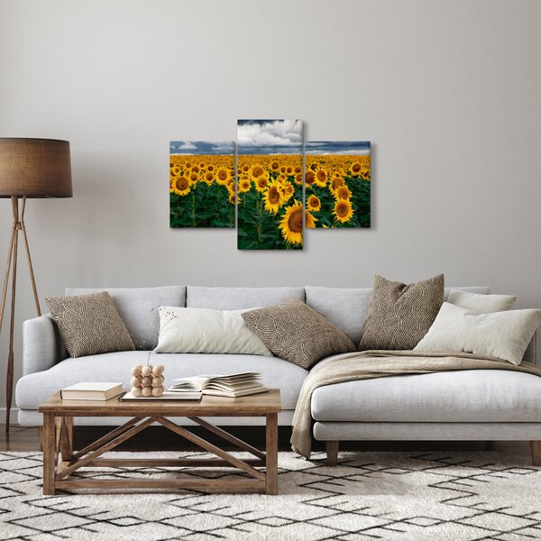 Slika polja suncokreta (90x60 cm)