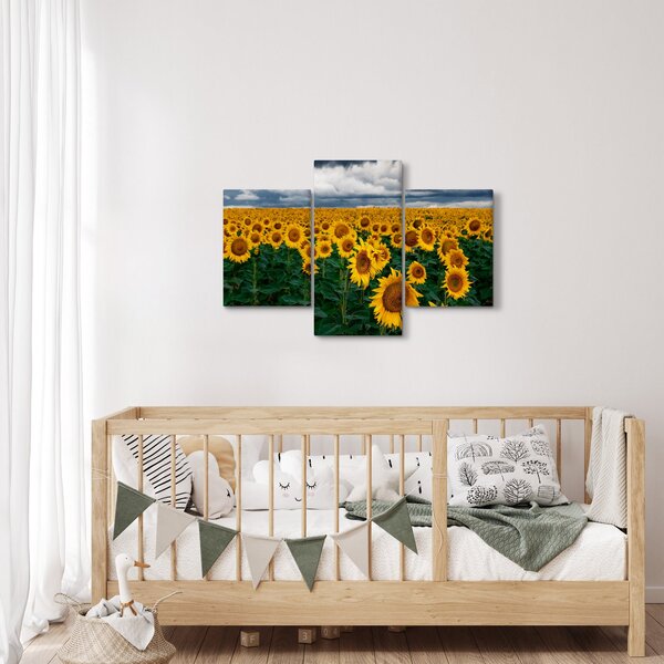 Slika polja suncokreta (90x60 cm)