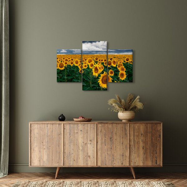 Slika polja suncokreta (90x60 cm)