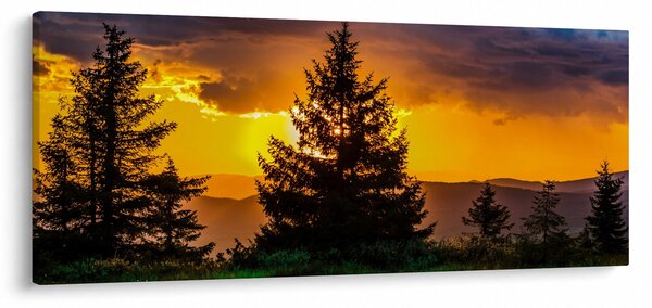 Slika - četinjače (120x50 cm)