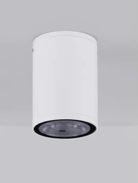 LUMINA STROPNA LAMPA LED 3000K 509lm IP65 BIJELA NL9030843