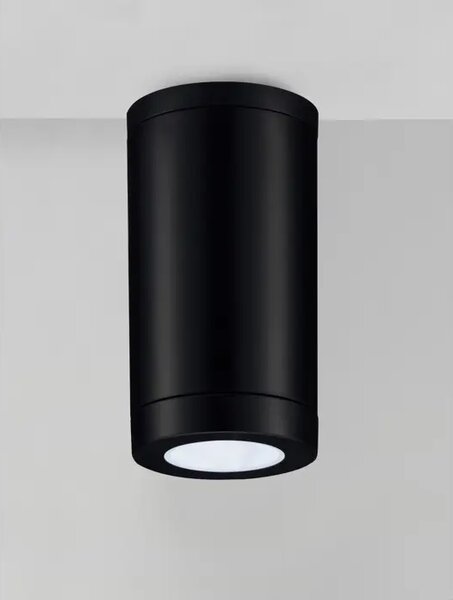 SPOT VANJSKI STROPNI REFLEKTOR GU10 1x10 Watt IP54 CRNA NL9030821