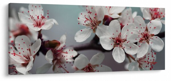 Slika cvijeta - crveni (120x50 cm)