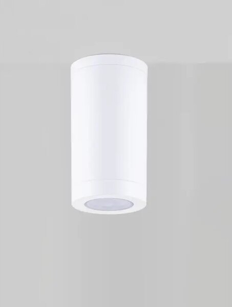 SPOT VANJSKI STROPNI REFLEKTOR 1×GU10/230V IP54 BIJELA NL9030822