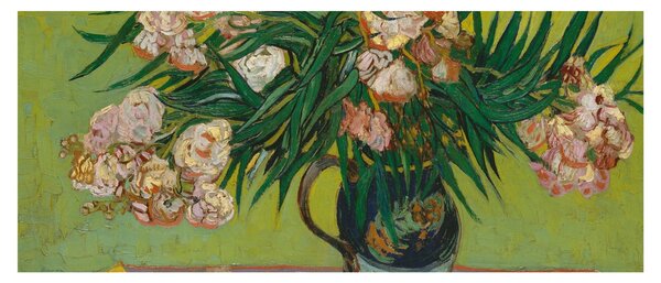 Slika - Vincent van Gogh, Oleanders, reprodukcije (120x50 cm)