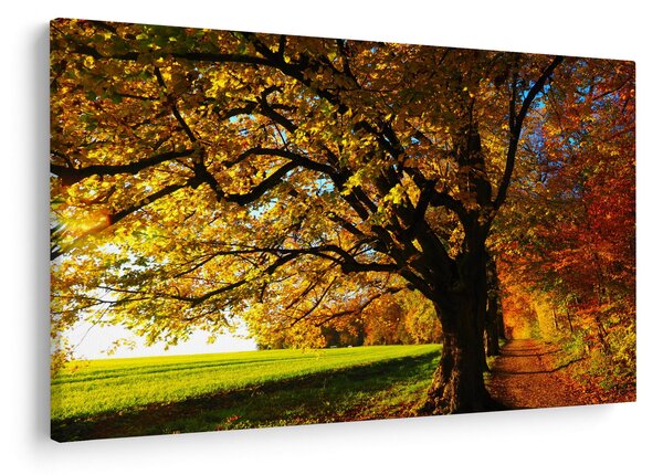 Slika jesenskog stabla (90x60 cm)