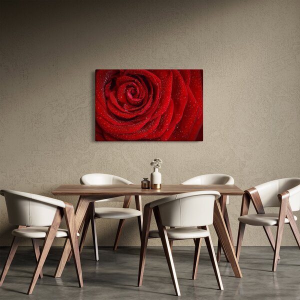 Slika - detalj ruže (90x60 cm)