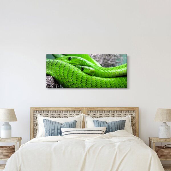 Slika zelenih zmija (120x50 cm)