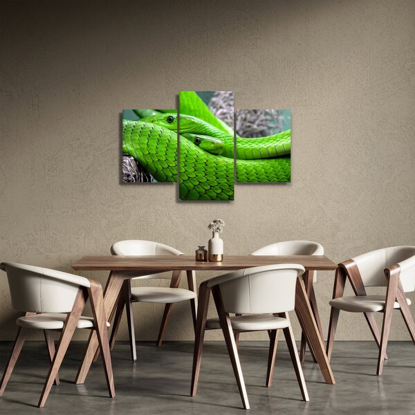 Slika zelenih zmija (90x60 cm)