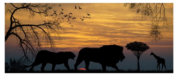 Safari slika (120x50 cm)