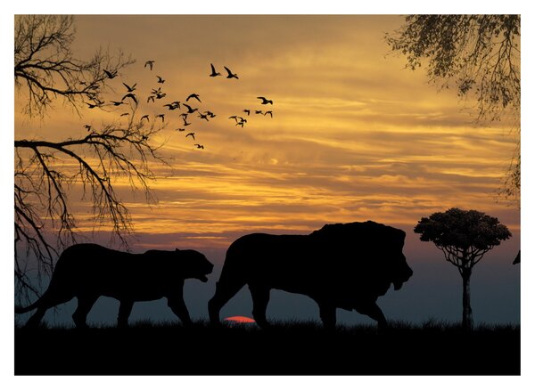 Safari slika (70x50 cm)