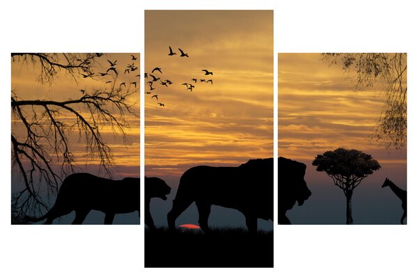 Safari slika (90x60 cm)