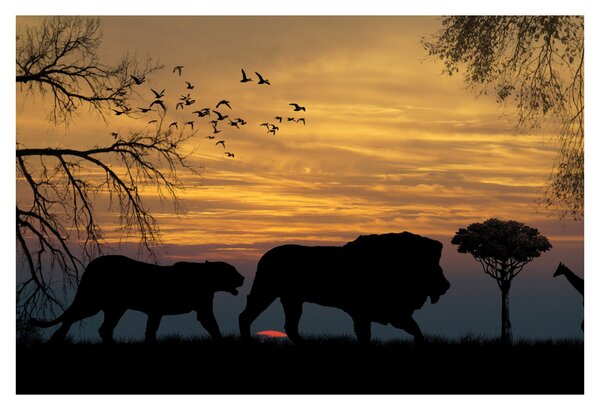 Safari slika (90x60 cm)