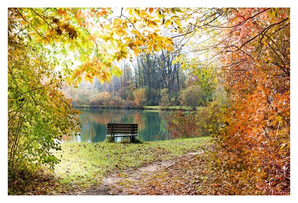 Slika ribnjaka (90x60 cm)