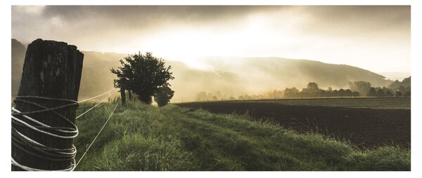 Slika livade (120x50 cm)