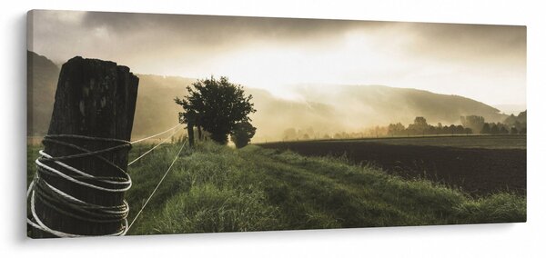 Slika livade (120x50 cm)