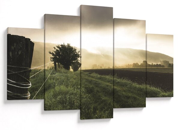 Slika livade (150x105 cm)