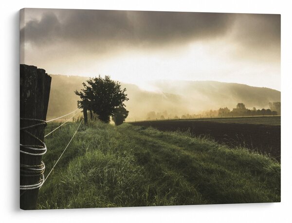 Slika livade (70x50 cm)