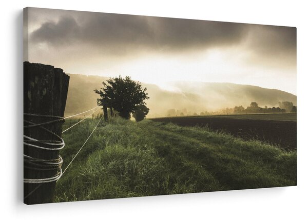 Slika livade (90x60 cm)