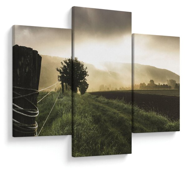 Slika livade (90x60 cm)