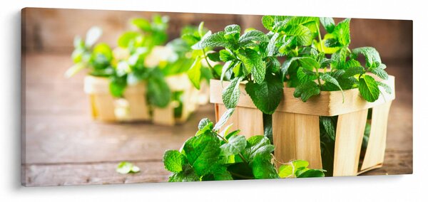 Slika svježe metvice (120x50 cm)