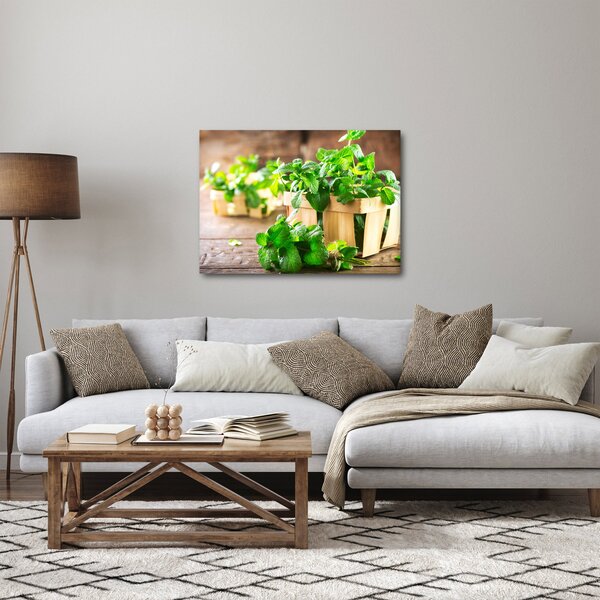 Slika svježe metvice (70x50 cm)