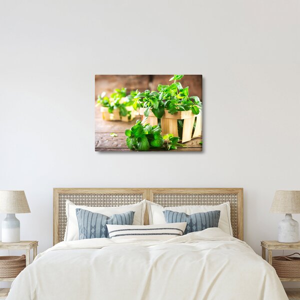 Slika svježe metvice (70x50 cm)