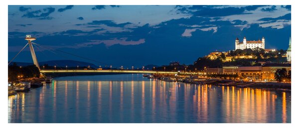 Slika Bratislave s dvorcem (120x50 cm)
