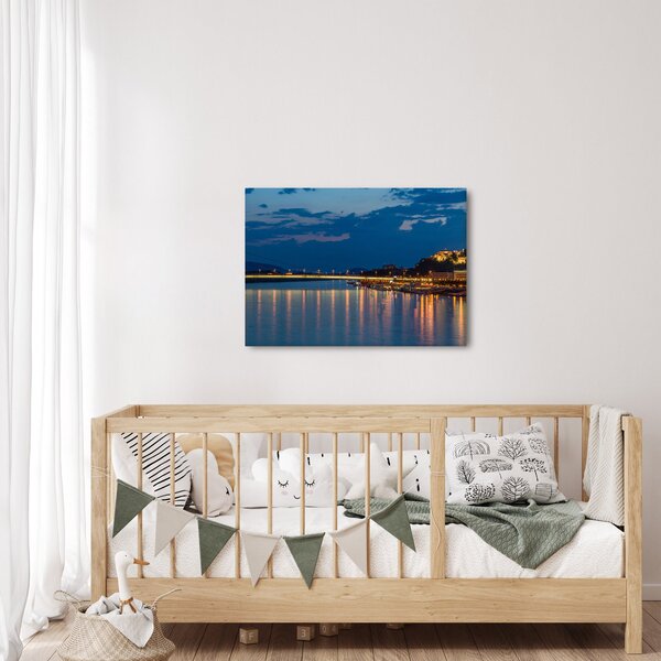 Slika Bratislave s dvorcem (70x50 cm)