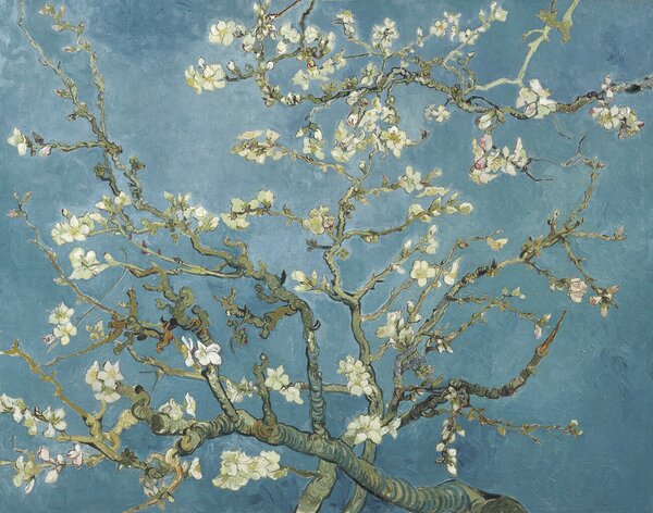 Vincent van Gogh - Reprodukcija umjetnosti Vincent van Gogh - Almond Blossoms, (40 x 30 cm)