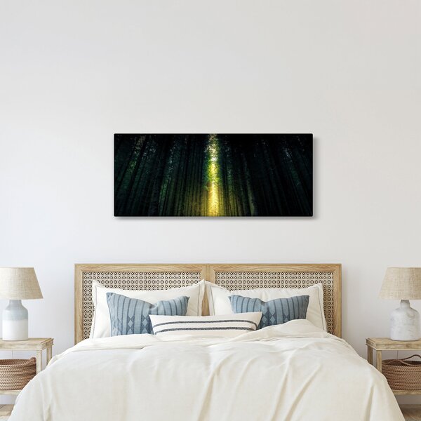Slika mračne šume (120x50 cm)