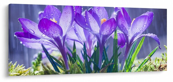 Slika cvijeća na kiši (120x50 cm)