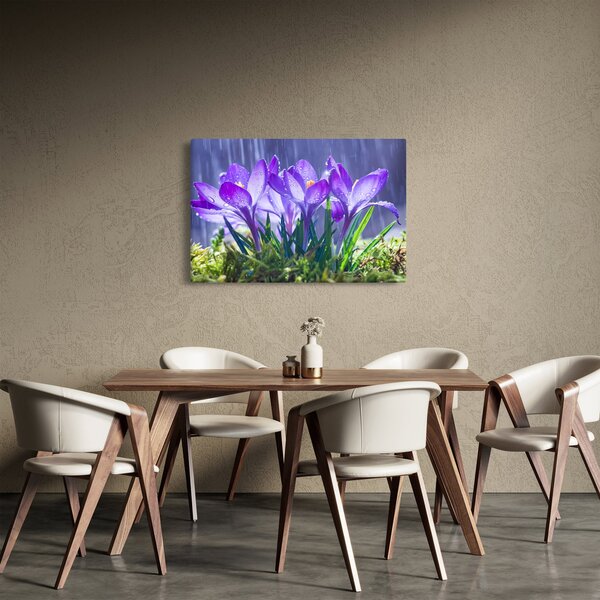 Slika cvijeća na kiši (90x60 cm)