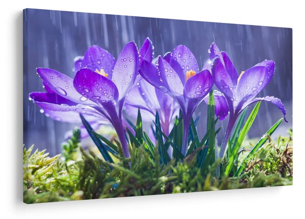 Slika cvijeća na kiši (90x60 cm)