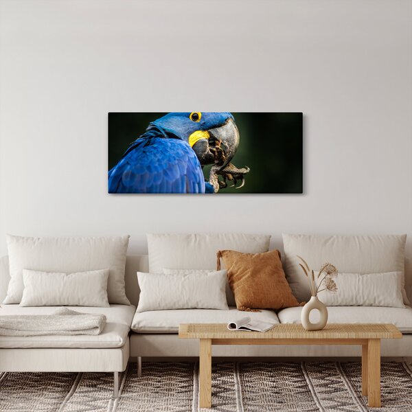 Slika papige (120x50 cm)
