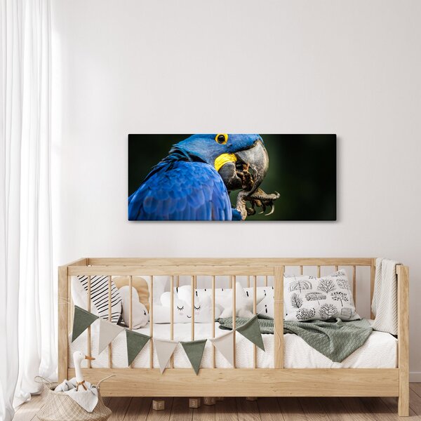 Slika papige (120x50 cm)