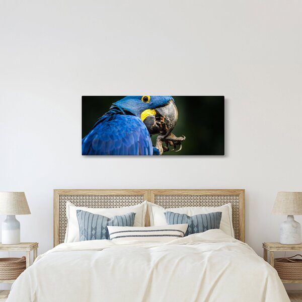 Slika papige (120x50 cm)